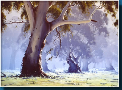 Misty Gums Sheparton VIC - 120 x 100; John Wilson