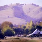 Study - Autumn Shadows, Adelong  -  60 x 45 © Copyright John Wilson