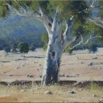 Drought Gums - Glen Davis  -  60 x 45  © Copyright John Wilson