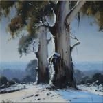 Katoomba Snow Gums  -  50 x 50  © Copyright John Wilson