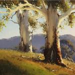 Gums near Brungle NSW  -  60 x 45  © Copyright John Wilson