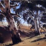 Summer Gums near Tarana  -  80 x 60 - Copyright John Wilson