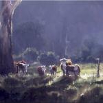 Collins Cows, Megalong Valley  -  120 x 90 - Copyright John Wilson
