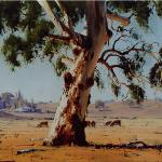 Brungle Gum  -  110 x 90  - Copyright John Wilson