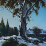 Early Snowfall - Katoomba  -  50 x 50  © Copyright John Wilson