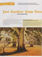 Article by John Wilson - You Must Search It Out
