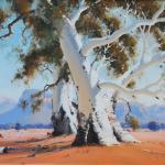 Flinders Ranges Gums
95cm X 95cm 
$8500 sold