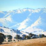 In the Tumut Hills
60cm X 60cm
$2800