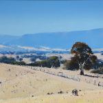 Kate's Farm Holbrook
60cm X 40cm
$2200   Sold