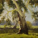 Murray River Gum Albury NSW
30cm X 30cm 
$950 Sold