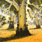 Summer Gums Seymour Vic.
120cm x 150cm $13500  Sold